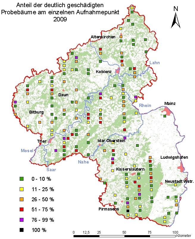 Abbildung 11: Anteil der deutlich geschädigten Probebäume am einzelnen Aufnahmepunkt 2009 23 23 vgl.