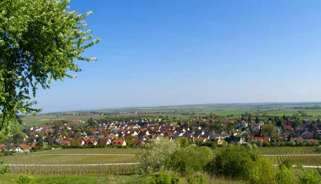 21 Blick auf Harxheim erbes zu finden ist, kann man landschaftlich und kulturell viel erleben.