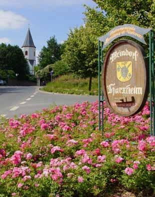 Von den rund 350 ha der Gemarkung werden mehr als 20%, nämlich etwa 75 ha dafür genutzt. Die lange Tradition des Weinbaus geht, wie überhaupt in Rheinhessen, auf die Römer zurück.