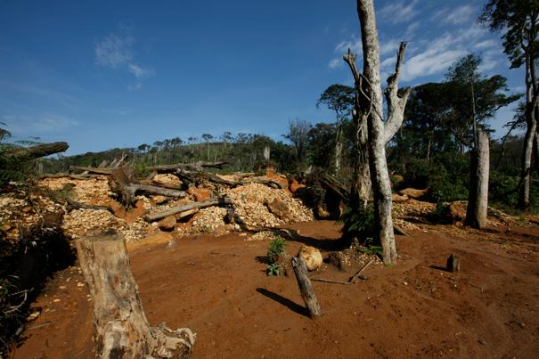 Zerstörte Landschaften bleiben nach Beendigung des illegalen Bergbaus zurück.