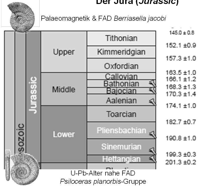 Der Jura (Jurassic) Palaeomagnetik & FAD Berriasella jacobi Name: Jura (nach Jura-Gebirge/ Schweiz) Dauer: ca.