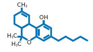 Tetrahydrocannabinol (THC, Dronabinol) CYP 450