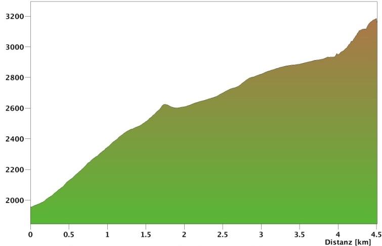 Höhe Gesamtaufstieg: Gesamtabstieg: 1381 m 1958 m 613 m 49 m Gross Spannort 3198 m 4.50 km 4:41 h / 0:00 h Schlossberglücke 2630 m 1.75 km 1:41 h / 1:55 h Spannortjoch 2935 m 3.