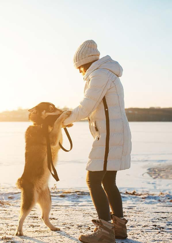 Voraussetzungen für die Teilnahme an der Ausbildung Für die Teilnahme an der Ausbildung werden folgende Punkte vorausgesetzt: Für den Hund muss eine gültige Haftpflichtversicherung bestehen (Nachweis