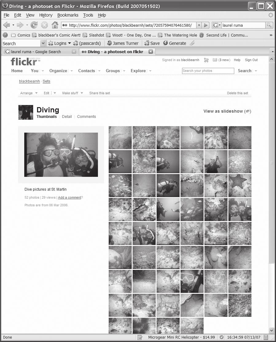 Flickr-Benutzer, die den Standardmodus öffentlicher Bilder akzeptieren, müssen nichts weiter tun, um ihre Bilder zu veröffentlichen.