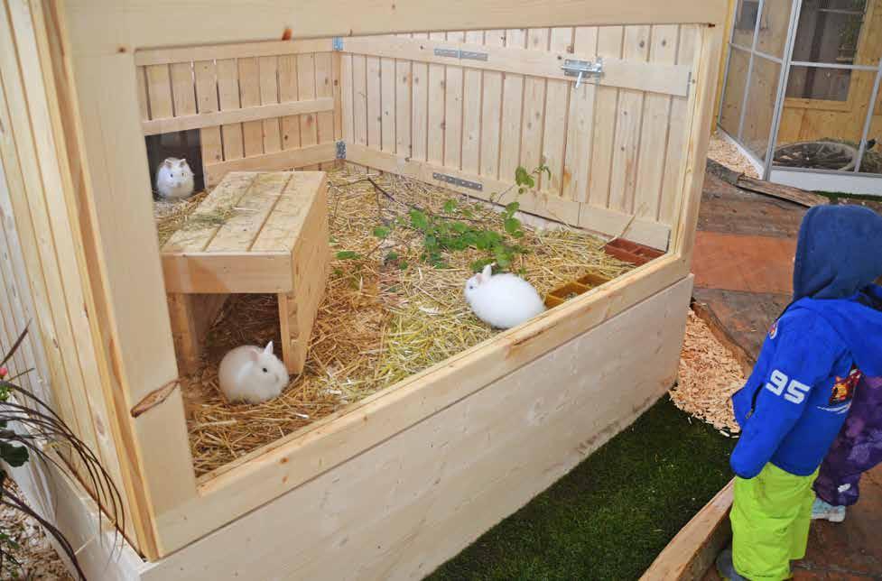 II. Was uns seitens Tierschutz an der Ausstellung gefallen hat Platzangebot: Grosszügige Flächen bei den Kaninchen, Tauben und Kanarien.