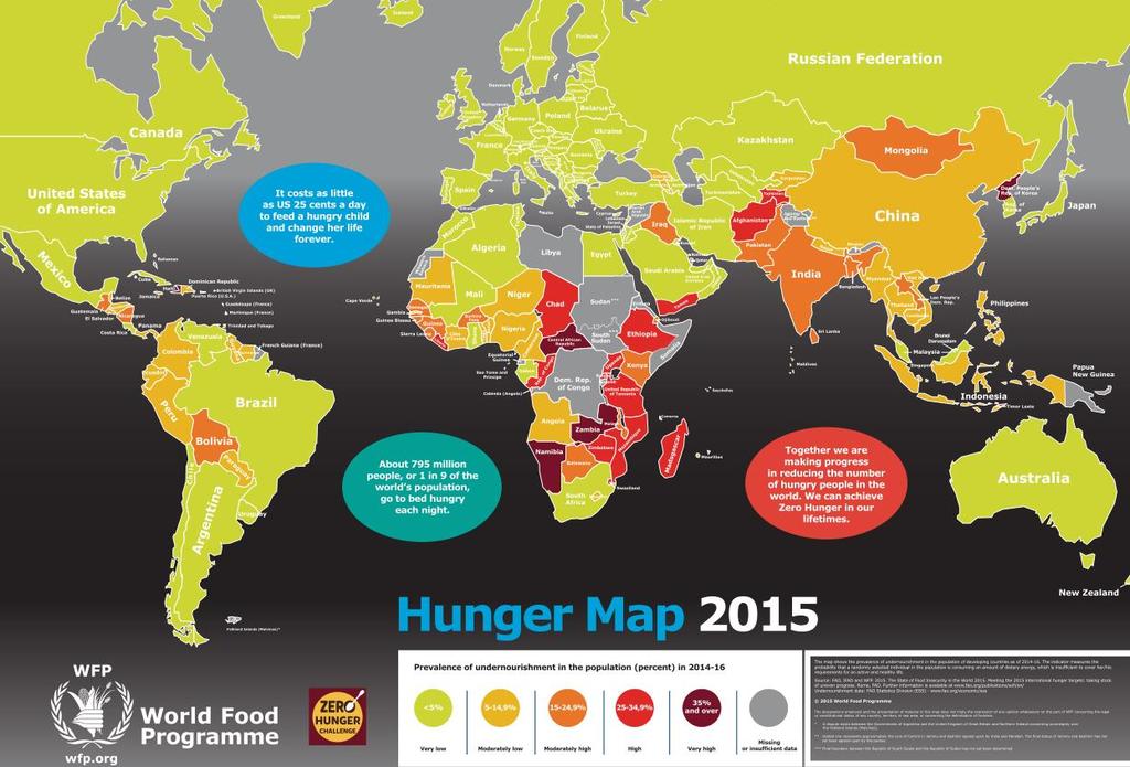 UN World Food Programme (WFP)