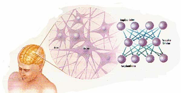 Intelligente Versiegelung Künstliche Neuronale Netze (KNN): KNN sind lernfähige Programme, die selbstständig die analytisch nicht bekannten Zusammenhänge zwischen Ein- und Ausgabemustern erlernen, um