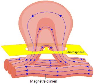 Entstehung von Sonnenflecken Sonnenflecken sind lokale Gebiete mit erhöhter Magnetfeldaktivität. Das Magnetfeld behindert das Aufsteigen des Gases aus dem Inneren der Sonne.