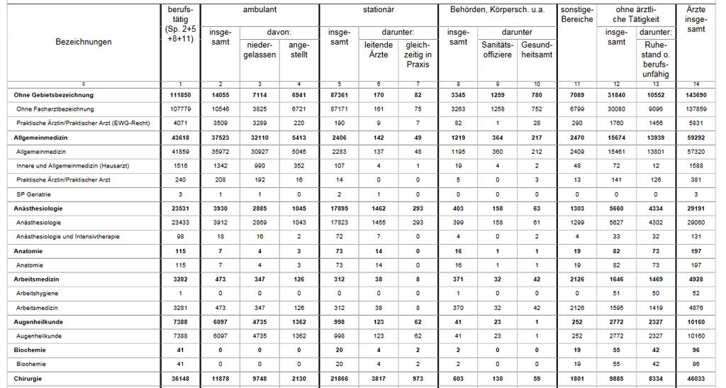 Ärzte nach Bezeichnungen und ärztlichen Tätigkeitsbereichen Belegärzte Ermächtigte Ärzte Seit 2007 ist