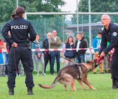 Die Kantonspolizei Zürich verfügt über 65 Diensthundeführer/innen, wovon 10 als Instruktoren im Diensthundewesen mit Sitz in Dübendorf tätig sind.
