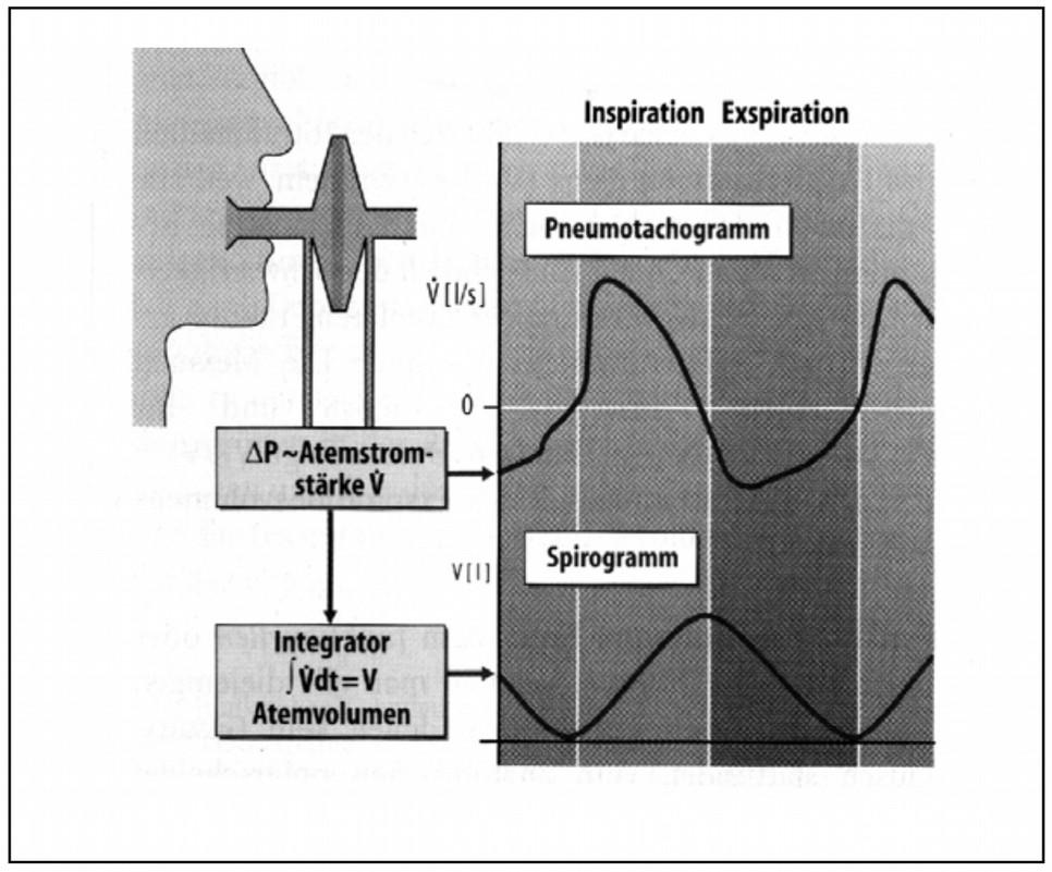 Der Differenzdruck ist bei laminärer Strömung nach dem Gesetz von HagenPoiseuille direkt proportional zur Atemstromstärke. Die Atemstromstärke bildet das Gerät grafisch ab (siehe Abbildung 1.3).