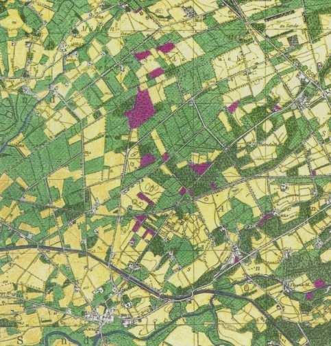 Grünlandbauerntum Die Aufnahme von 954 zeigt, dass die Heideflächen (violett) im Sander Bruch nur noch marginal vorhanden sind.