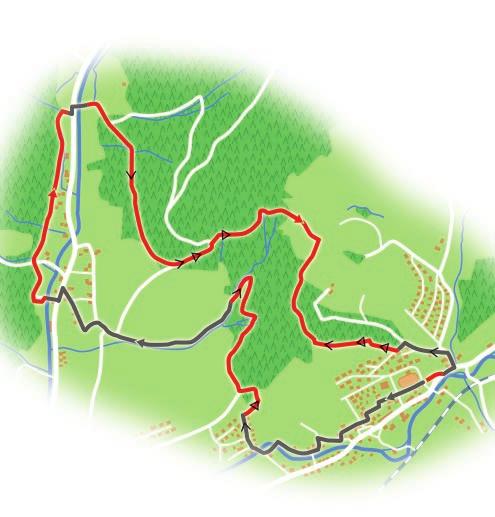 Tour 4 Aqua-Fit-Tour Start am Wanderparkplatz Schwarzer Adler. Der Weg führt am Fürstenberger Hof vorbei in den Wald hinauf in Richtung Neuhausen.