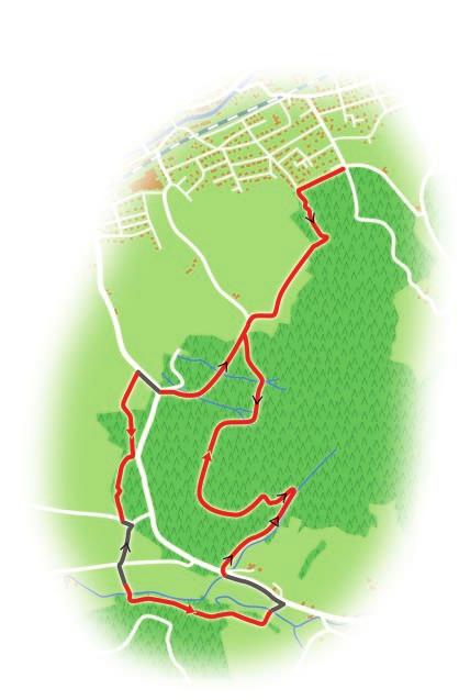 Tour 5 Alter Wald Start am Waldparkplatz Wiesenwald. Der Weg mit Panoramablick auf Städtle und Tal führt gemächlich, am Golfplatz Gröbernhof vorbei, ins Entersbacher Tal.