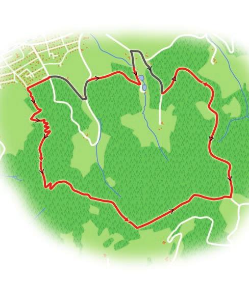 Tour 6 Aufstieg Gieseneck Start am Waldparkplatz Wiesenwald. Die sportliche Route steigt auf dem ältesten Naturlehrpfad Deutschlands bis Gieseneck stetig an.