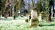 Nach kurzer Wegstrecke liegt links die Kapelle Heiligenkirche.