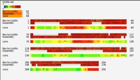 Außergewöhnliche Anwendungen Gensequenzanalyse Große Datenmengen Vorkommen von Buchstabenfolgen finden Einfache Konfiguration von ElasticSearch Quelle: Tong, Zachary.