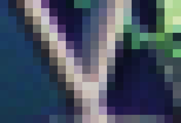 1.1 Pixelgrafik (auch ) Beispiel: Bei en wird das Bild in kleine Quadrate (Pixel) zerlegt. Für jedes Pixel wird die entsprechende Farbe gespeichert.