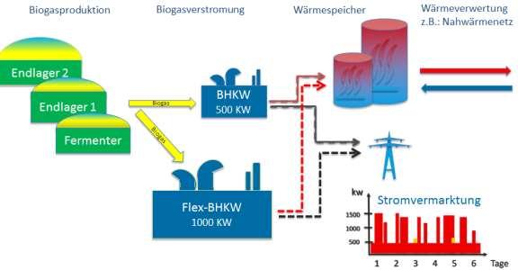 Zukunftscheck Biogasanlagen Projektbausteine: Ziel: bessere Wirtschaftlichkeit in der EEG Restlaufzeit; Voraussetzungen schaffen für die EEG