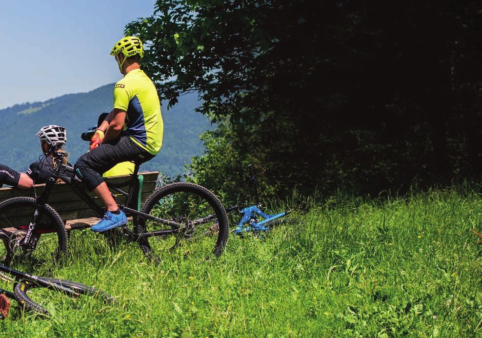 bionicon.eu NEUES VON BIONICON! UNSER BIKE-LINEUP FÜR 2018. Engineered @ Tegernsee Alps das ist kein Marketing-Gewäsch, sondern die echte DNA eines jeden BIONICON Bikes.
