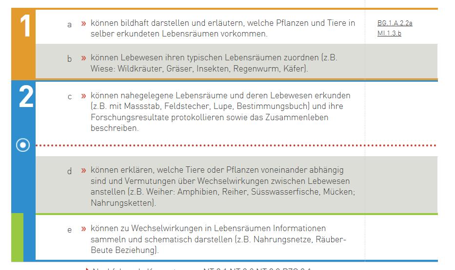 Der Kompetenzaufbau Auftrag des 1.