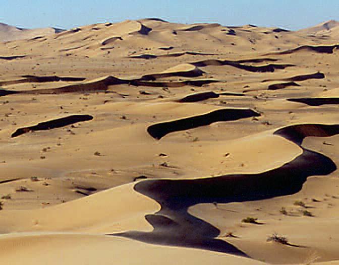 Trotz aller Lebensfeindlichkeit sind aber Wüsten Lebensräume für eine artenreiche, hoch spezialisierte Fauna und Flora, die an Hitze und Trockenheit