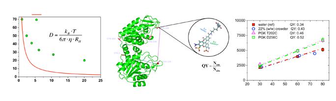Proteincharakterisierung mithilfe der Fluoreszenz- Multiparameteranalyse Bei der konfokalen Fluoreszenzdetektion wird das Anregungslicht auf ein kleines, beugungsbegrenztes Volumen in der