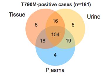 Diagnostik der T790M Mutation Messung der T790M Mutation in: Gewebe Blut Urin Sensitivität vergleichbar: Blut 80.9% Urin 81.