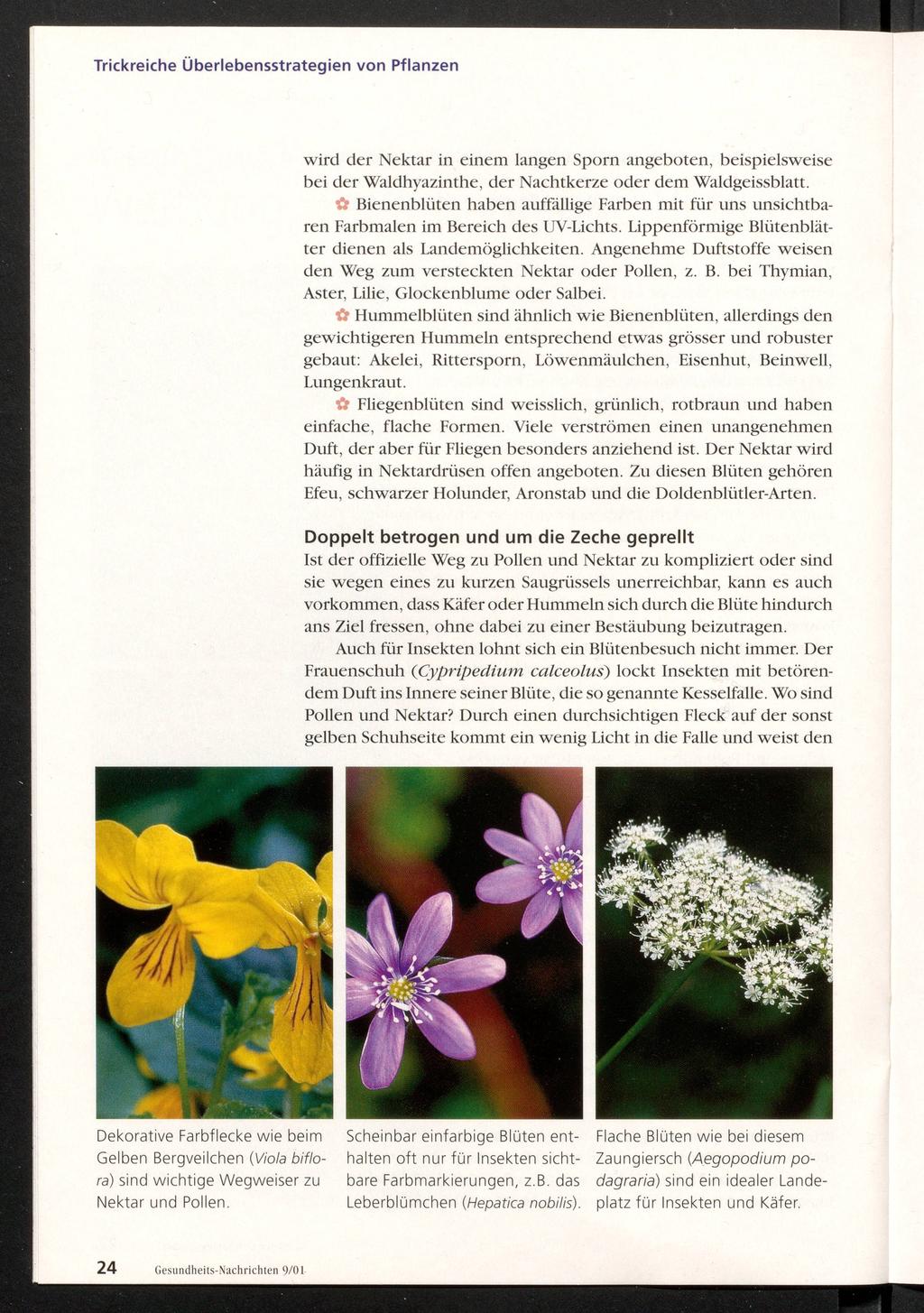 Trickreiche Überlebensstrategien von Pflanzen wird der Nektar in einem langen Sporn angeboten, beispielsweise bei der Waldhyazinthe, der Nachtkerze oder dem Waldgeissblatt.