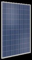 Unser Premium-Modul SOLON 230/07 ist die Lösung für alle, die auf langfristig hohe Leistung und Belastbarkeit von Solarmodulen setzen.