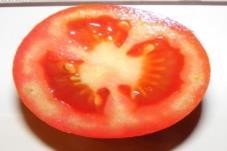10 ISIS CANDY marmorirte Kirschtomate lange Ernte ertragreich robus süß Tomate