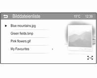 Verwendung des Bildmenüs MENÜ berühren, um das USB Bildmenü zu öffnen. Bilddateienliste Es wird eine Liste aller Bilddateien angezeigt. Das gewünschte Bild ausfindig machen und auswählen.