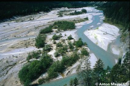 NATURA 2000 Lebensraumtypen-Gruppe Fließgewässer Alpine Flüsse mit krautiger Ufervegetation [EU-Code 3220] Der Lebensraumtyp 3220 umfasst natürliche und naturnahe Fließgewässer der Alpen und des