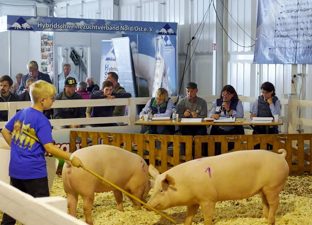 Leistungs- und Demonstrationsschau des HSZV N/O e.v. Die größte Agrar-Fachmesse im Norden - die MeLa - findet alljährlich im September in Mühlengeez (Mecklenburg-Vorpommern) statt.