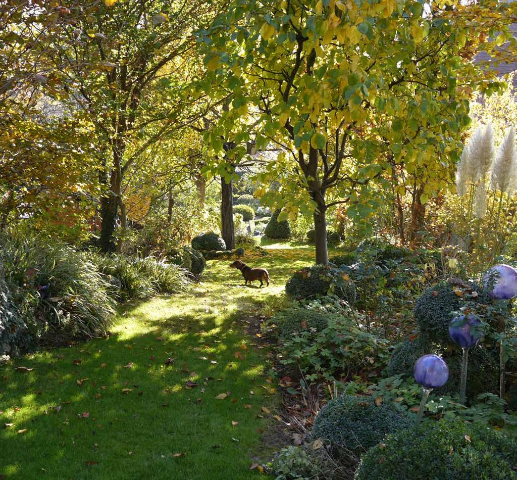 Im Herbst ist der Durchgang vom Bauerngarten zum elterlichen Gartenteil wieder passierbar. Die wuchtige Rose Constance Spry wurde im Sommer ordentlich zurückgeschnitten.