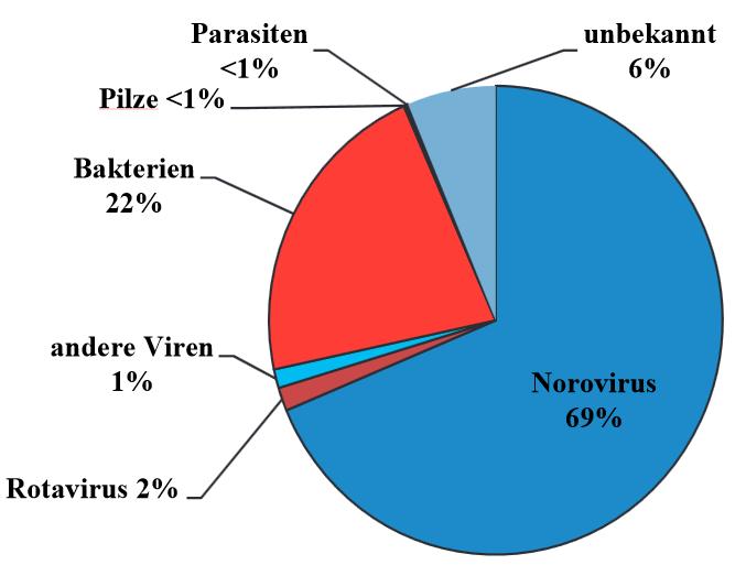 Erreger nosokomialer Ausbrüche (2012 ; n=617) Anteil der Erreger/Erregergruppen an der Gesamtzahl übermittelter nosokomialer Ausbrüche (in