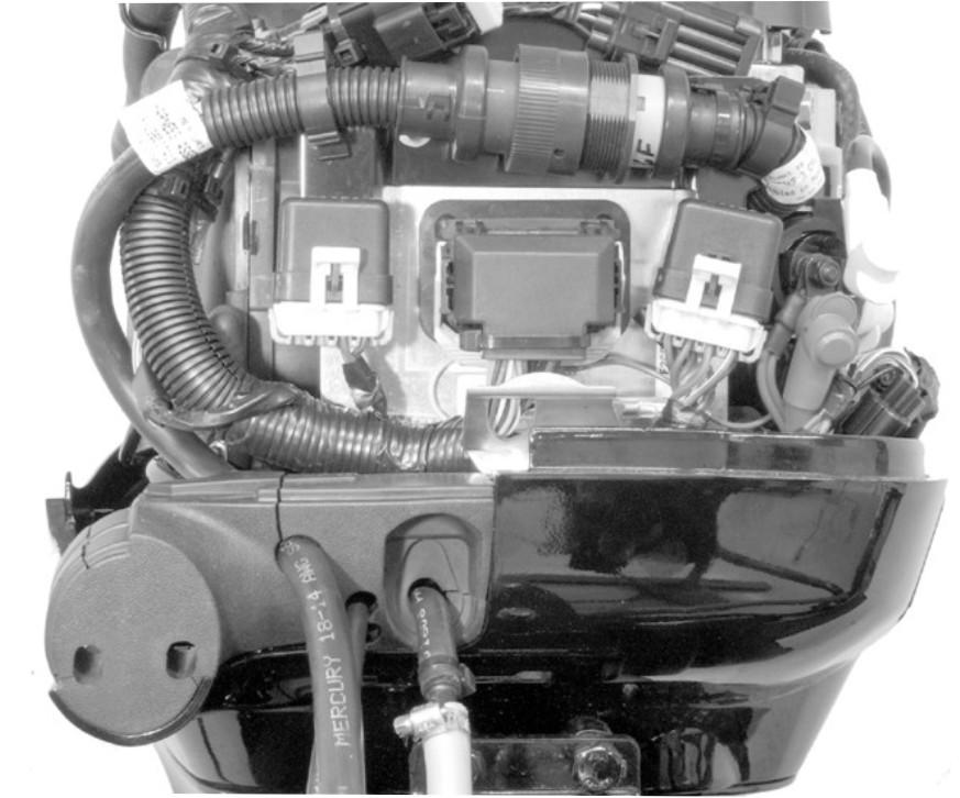 ANBAU DES AUSSENBORDERS Den 14-poligen Steckverbinder m Motorkbelbum nschließen und den Kbelbum mit der Sicherung befestigen.