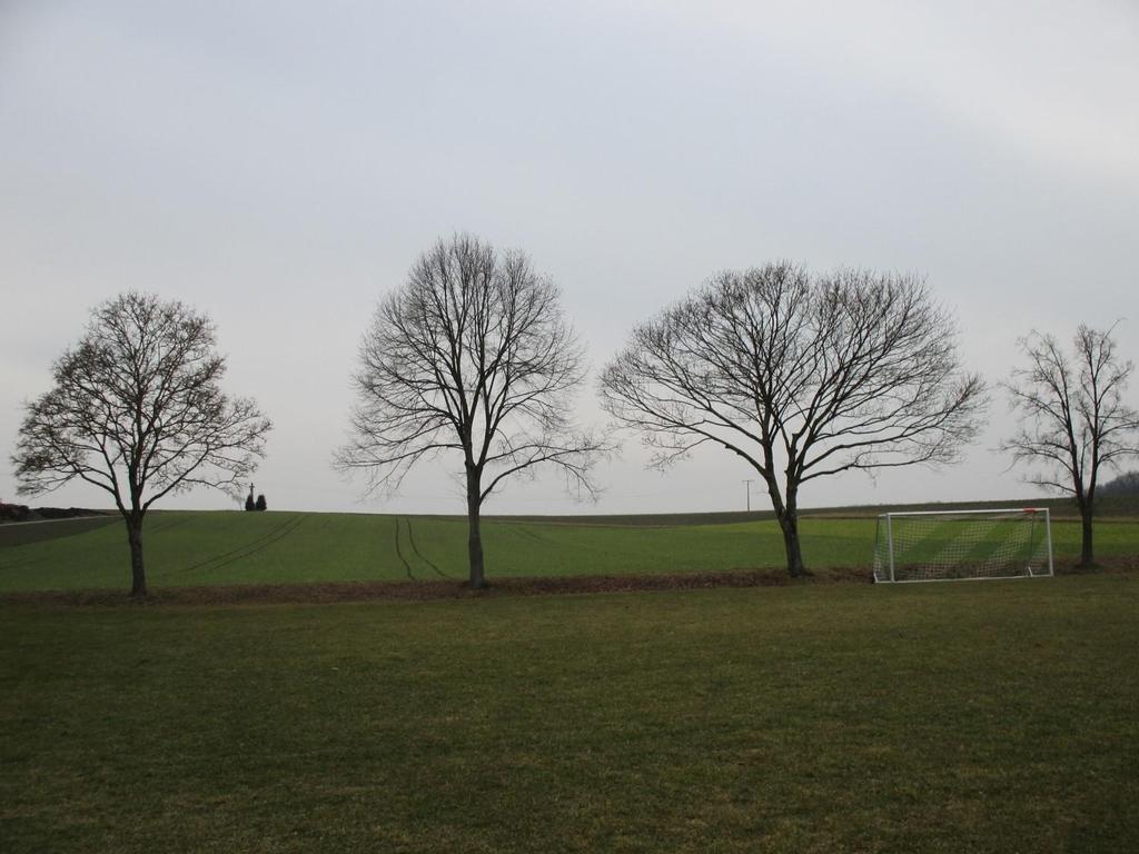 2014 Sportanlagen und Wirtschaftsbereich Die Bäume am