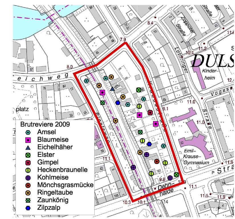 Dulsberg 6 - Avifauna 5 Abb. 1: Plangebiet des B-Plans Dulsberg 6 mit den für Saison 2009 ermittelten Revierstandorten der Brutvögel 3.