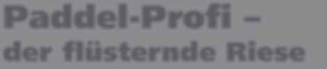 einem minimalen Verschleiß. Nach dem Einbau des Paddel-Profis sind keine weiteren Einstellarbeiten nötig. Antreibendes Element ist ein langsam laufender Motor, untersetzt mit einem Flachgetriebe.
