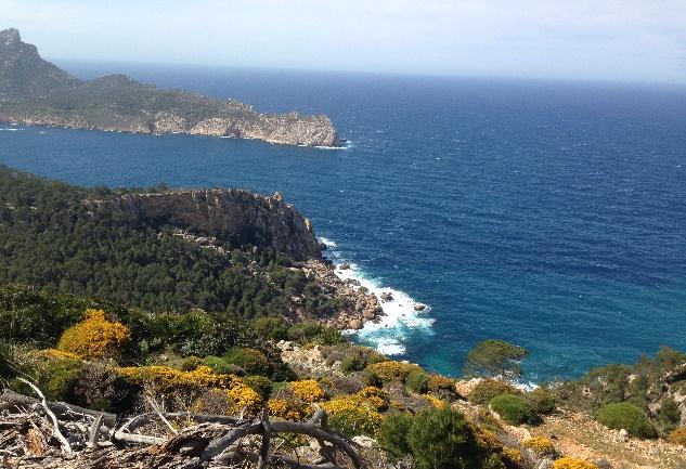 Im letzten Drittel der Wanderung erwartet Sie ein gemeinsames Picknick mit einem atemberaubenden Blick auf die Nordküste Mallorcas. Aufstieg: ca. 250 HM Abstieg: ca. 200 HM Gehzeit: ca.