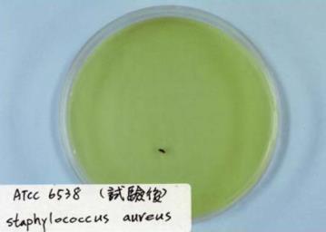 Bakterienhemmend (mit  SGS Taiwan