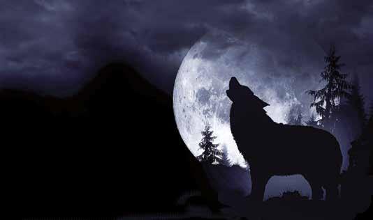 Verbraucherschutz. Er ging auf den Ruf ein, den der böse Wolf unter anderem Jägern und Naturschützern hitzig geführt. Grundsätzlich ist der Wolf streng geschützt.