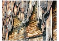 1032 Vier Gruppen Holzschutzmassnahmen Schutz der Oberfläche vor mechanischer Beanspruchung, Chemikalien, Verfärbungen durch Licht und Wärme, schwankender Luftfeuchtigkeit, Nässe, tierischen und