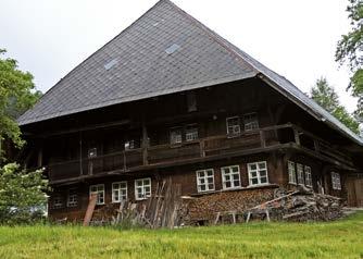 10 Holz Schützen, Pflegen, Veredeln Holzschutz im Außenbereich bedeutet generell auch, dem Wasser keine Angriffsfläche zu bieten.