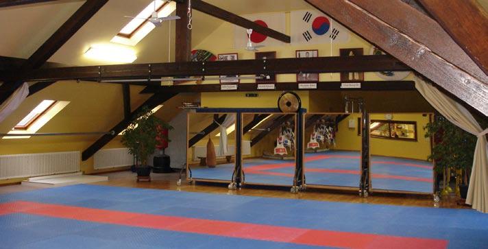 Vereinsvorstellung Bayerische Vereine stellen sich vor... Budokan 72 e.v. Schweinfurt 1972 gründete Udo Hofer mit sechs weiteren Sportlern den Karateverein 72 e.