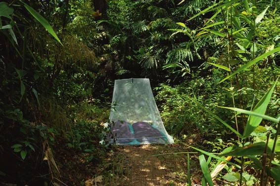 Mosquito Net If your next adventure takes you someplace with biting insects, pack one of our Cocoon Mosquito Nets for extra protection.