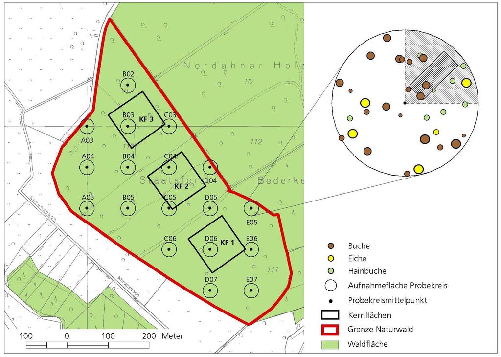 Methoden Standard: Monitoring der Waldstruktur Standortkartierung Optional: Monitoring Vegetation Artenzusammensetzung (Standard