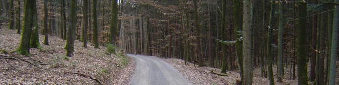 Wegebau im Forstamt Heilbronn eine